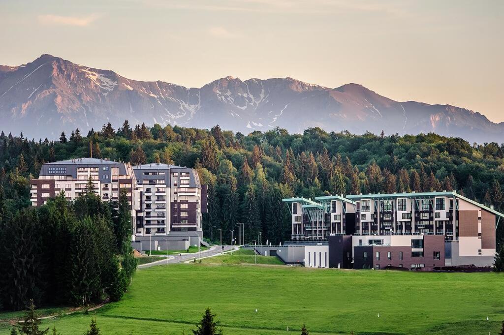 Silver Mountain G1 21 R Пояна-Брашов Экстерьер фото