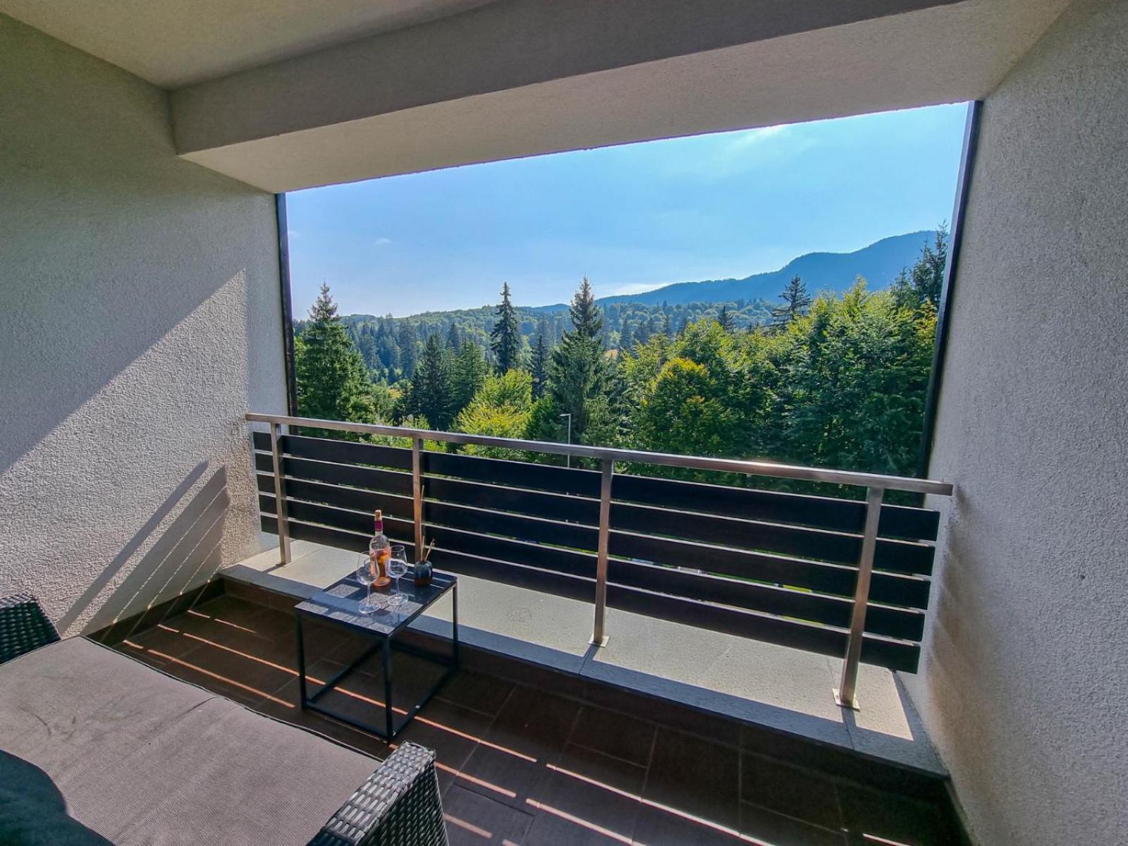 Silver Mountain G1 21 R Пояна-Брашов Экстерьер фото